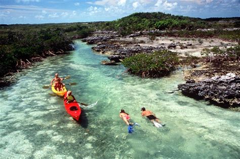 Aqua Cat, Bahamas - LiveAboard.com