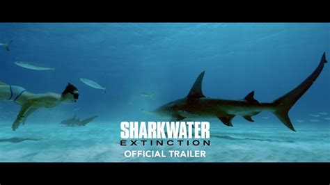 SHARKWATER EXTINCTION Official Trailer [4K ULTRA HD] - YouTube