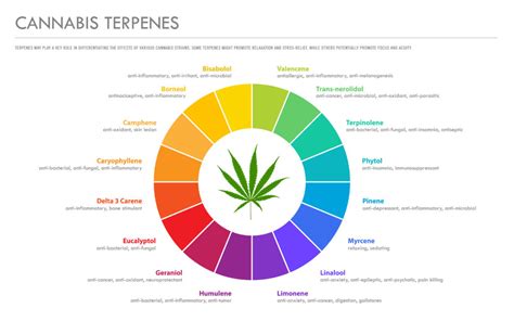 Terpenes and Their Applications - 365 Recreational