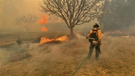 Texas enfrenta el mayor incendio forestal de su historia - Mediatiko