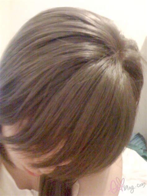 ekiBlog.com: Hair Bleaching and Light ash brown hair color