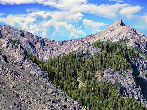 Gallatin National Forest Photograph by Anthony Dezenzio