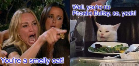 Friends: 10 Best Smelly Cat Memes