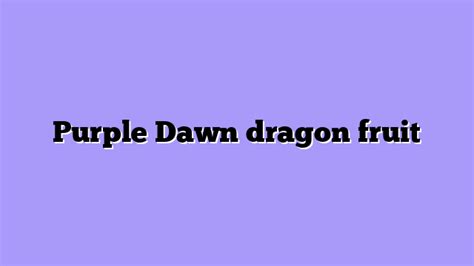 ᐉ Purple Dawn Dragon Fruit: The Alluring Gem of the Tropics