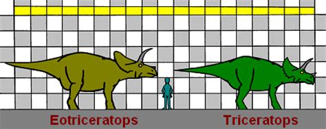 Eotriceratops Dinosaur Facts - information about the dinosaur eotriceratops