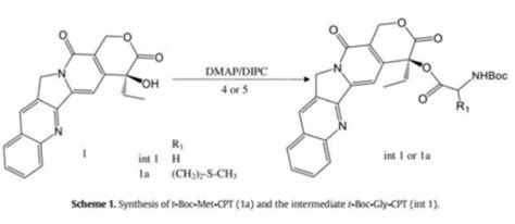 BOC-Amino Acids - DocCheck