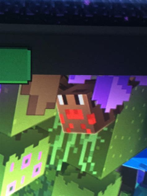 Secret face of a spider : Minecraft