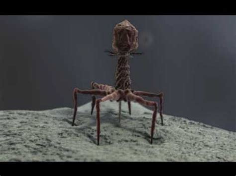 3d Demo Reel (bacteriophage T4 and stereocilia) - medical animation - YouTube