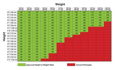 Horseback Riding Weight Limits | Blog Dandk