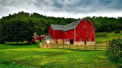 How to Keep Your Barn Cool During the Summer | Country Cabins