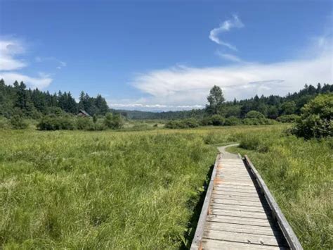 10 Best Walking Trails in Redmond | AllTrails