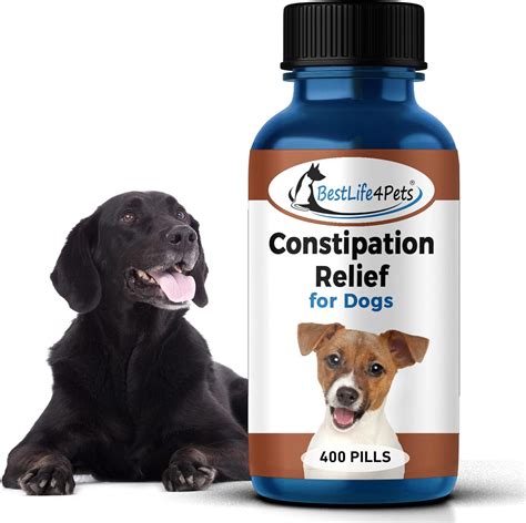 BestLife4Pets - Dog Stool Softener and Constipation Relief - Digestive ...