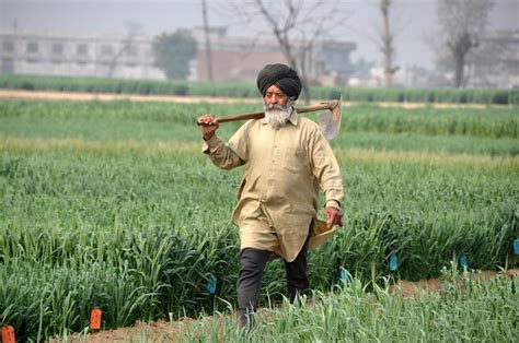 Ludhiana (Punjab - India) | At the Punjab Agricultural Unive… | Flickr ...