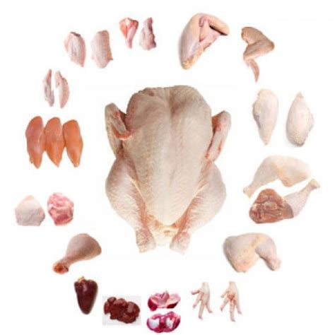 order online raw fresh chicken,raw mutton home delivery,raw chicken noida ,raw chicken,raw ...