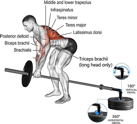 The 19 Best Landmine Exercises for Building Muscle Mass and Strength ...