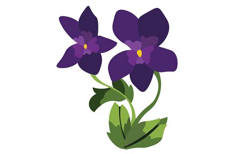 Illinois State Flower - Viola SVG Cut file by Creative Fabrica Crafts ...