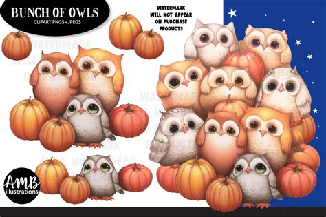 Pumpkin Owl Clipart