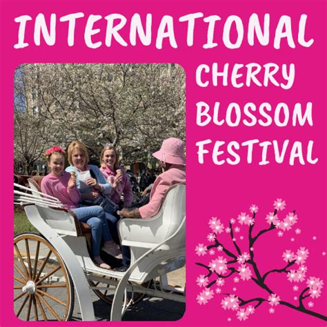 Cherry Blossom Festival 2024 Newark Nj - Rheta Bettine