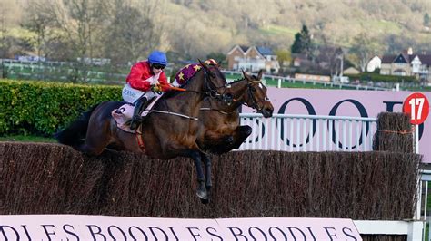 Cheltenham Festival FAQ | Who wins the 2023 Gold Cup?