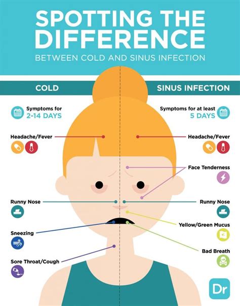 Is it a Cold or a Sinus Infection? | Sinusitis, Sinus infection, Sinus infection symptoms