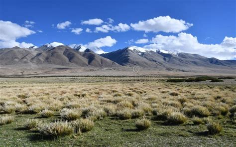 China, Tibet, Manasarovar Lake Shore Stock Image - Image of tibet, tibetan: 120572371