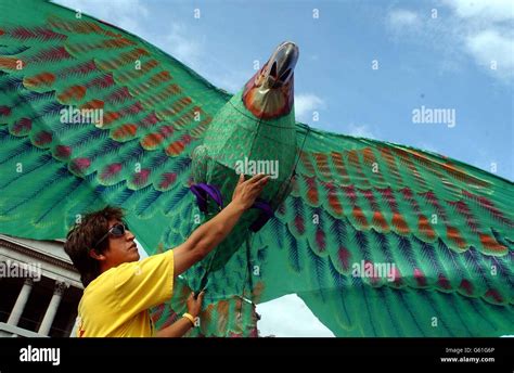 Afghan kite flying festival in Trafalgar Square, London, performed by artist Nasser Volant, as ...