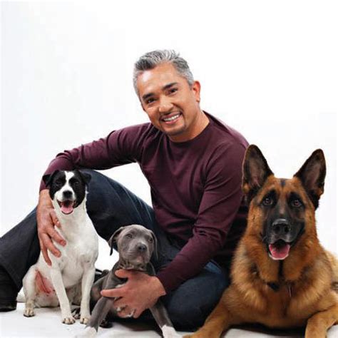 Cesar Millan Quotes. QuotesGram