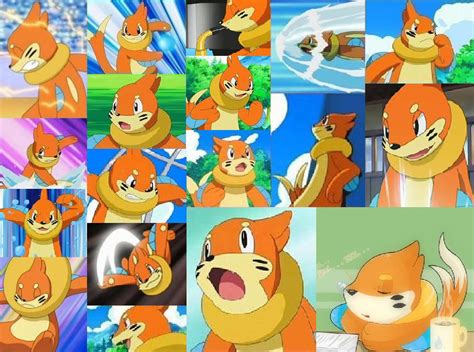 buizel wallpaper by Rioluandlucario on DeviantArt