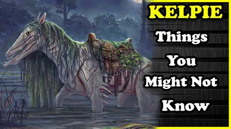 Discover the Mysteries of the Kelpie: Mythical Shape-Shifting Water Creatures - YouTube