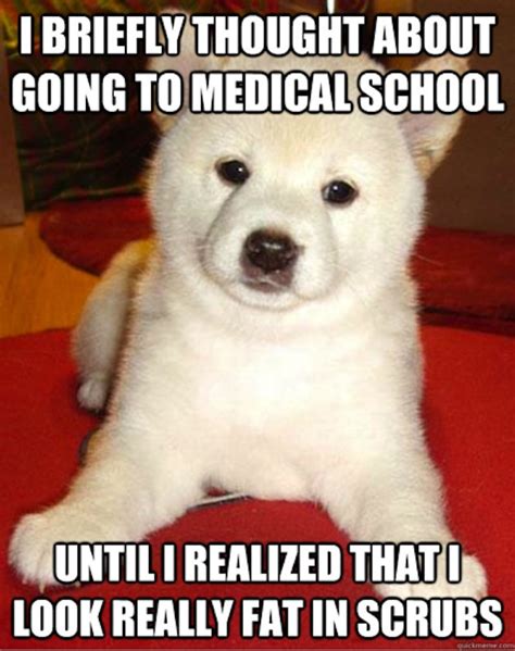 White Dog Problems Meme - The 50 Most Hilarious Memes Of The Summer ...