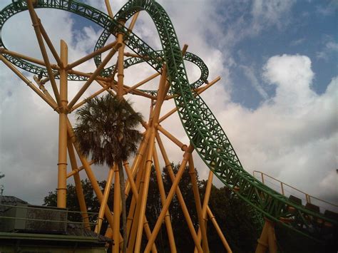 Cheetah Hunt Busch Gardens Facts - Beautiful Insanity