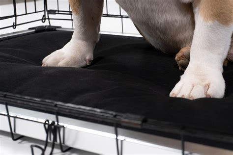 Chew Proof Elevated Cot | Indestructible Bed Fabric | K9 Ballistics®