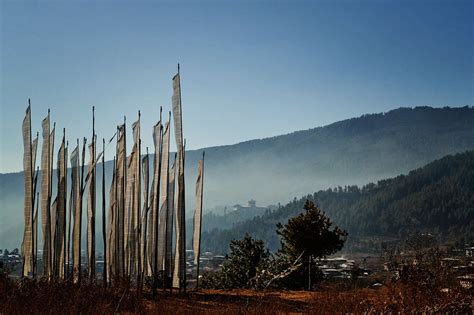 Six Senses Bhutan Unveils its Final Lodge, the “Forest Within A Forest” Six Senses Bumthang ...