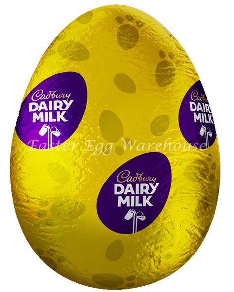 Cadbury Dairy Milk Hollow Egg 100g - Easter Egg Warehouse