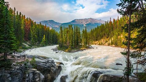 Sunwapta Falls in Jasper National Park, Canada - Bing Gallery