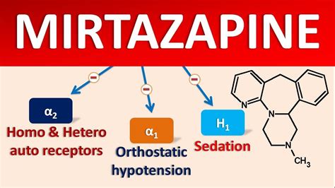 Mirtazapine -mechanism, side effects, precautions & uses - YouTube