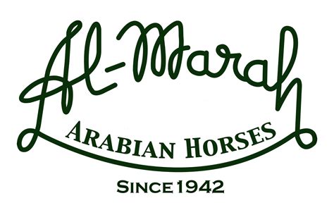 Al-Marah Arabian Horses Clermont | Clermont FL