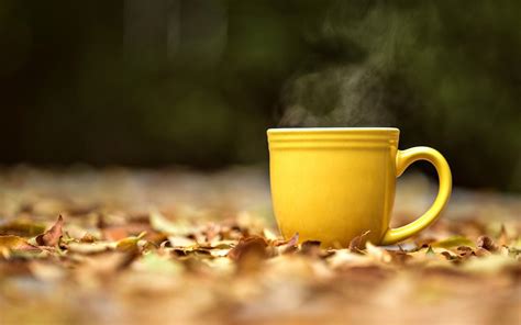 Hot Tea Cup wallpaper | 1680x1050 | #24633