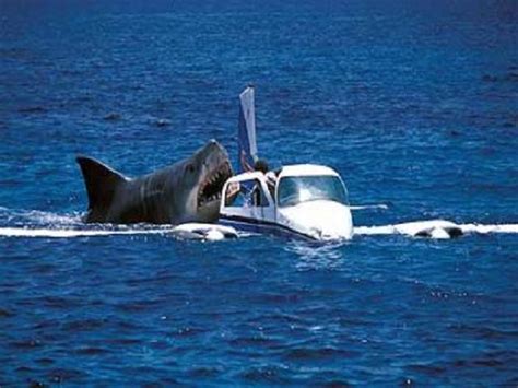 DOC GOES BACK INTO THE WATER: An In-Depth Look at the Jaws Franchise ...