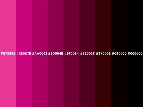 Royal pink color (Hex E73895)