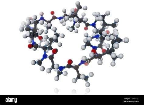 Cyclosporin a hi-res stock photography and images - Alamy