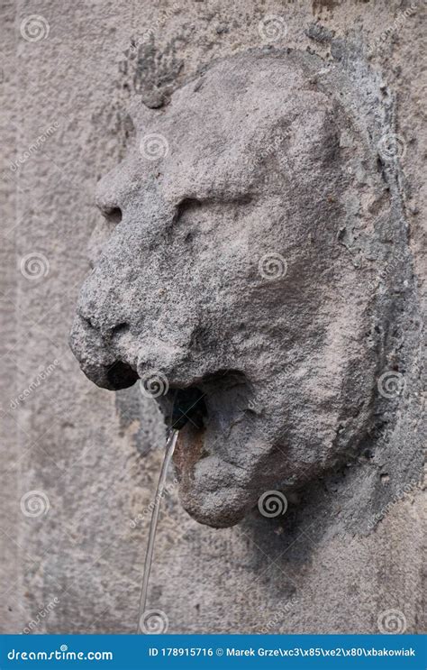 Lion Head Sculpture Stock Photos - Download 5,613 Royalty Free Photos