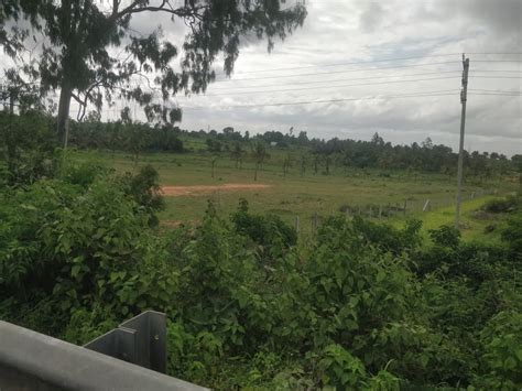 Resale 3600 Sq.Ft. Plot in Jalahalli East Bangalore - 7735219