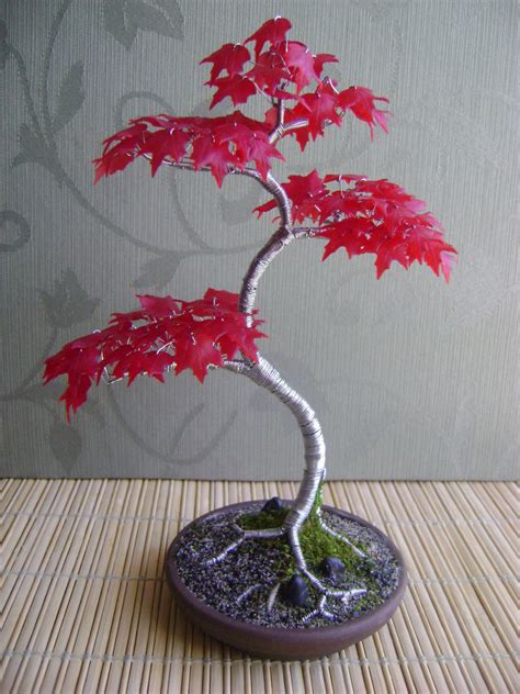 Red Japanese Maple Tree Bonsai Seeds Packet Bonsai Plant Acer | Etsy