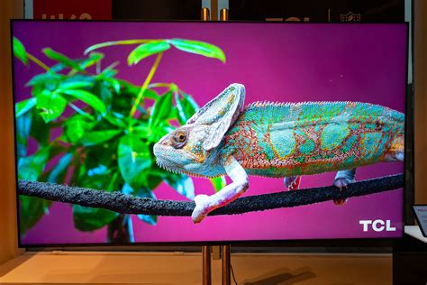 TCL's QLED TV is the biggest and brightest at CES 2024