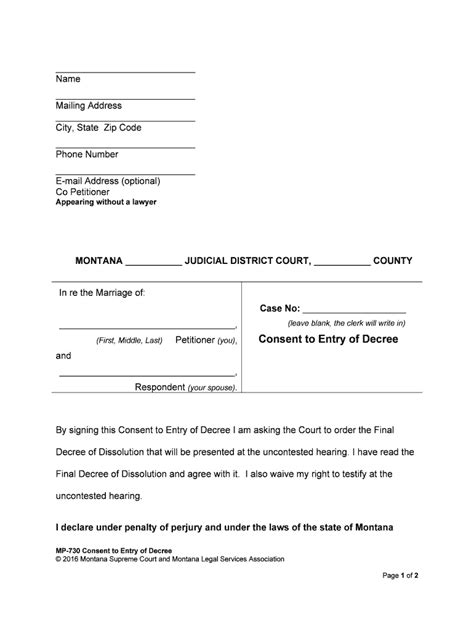 Consent to Entry of Decree Form - Fill Out and Sign Printable PDF ...