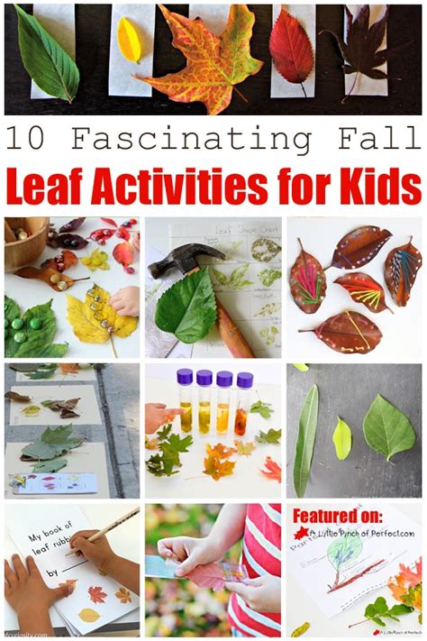 10 Fascinating Fall Leaf Activities for Kids - A Little Pinch of Perfect