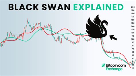 What’s a Black Swan?. And how a Black Swan Event played out… | by Naomiii | FMFW.io | Medium