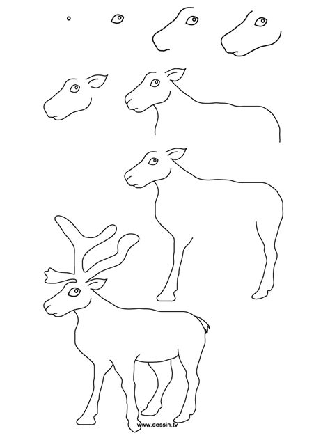 Drawing reindeer