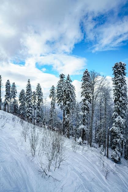 Premium Photo | Panorama of snowy mountains caucasus mountains